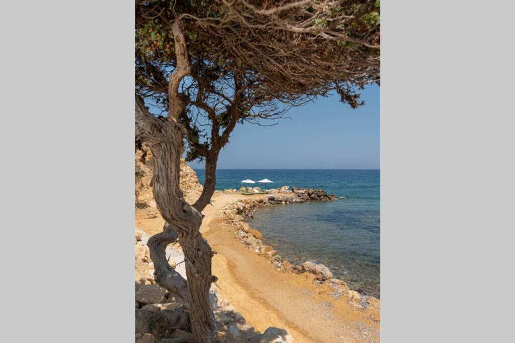 Ktima Sfakia Villa Kéfalos Eksteriør bilde