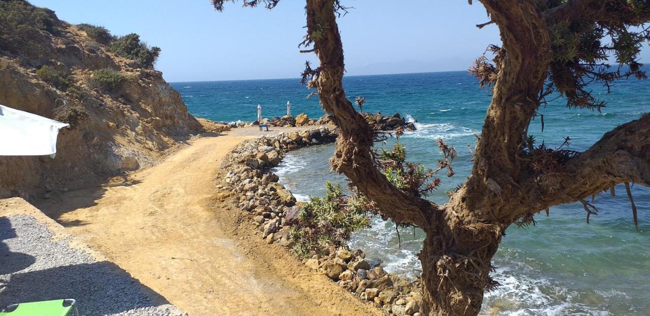 Ktima Sfakia Villa Kéfalos Eksteriør bilde